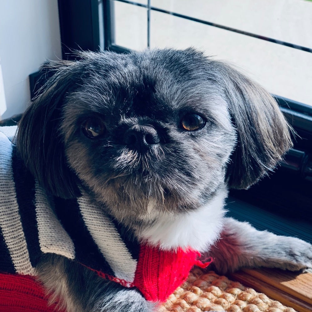 Meet your Posher, Angelica